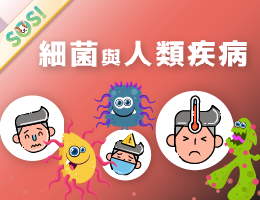 細菌與人類疾病（SOS計畫2025）