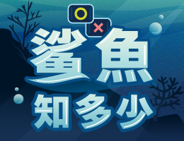 鯊魚知多少（114高中自主學習）