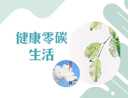 健康零碳生活（114高中自主學習）